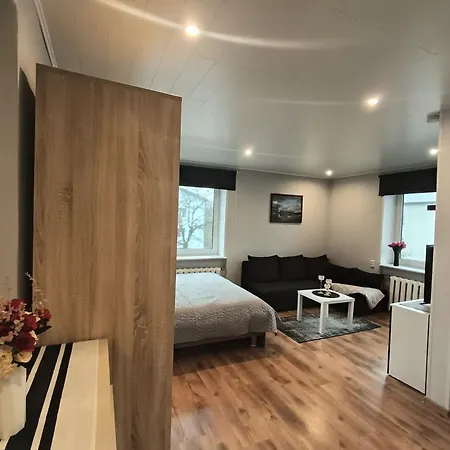 Central Haapsalu Apartment 哈普萨卢