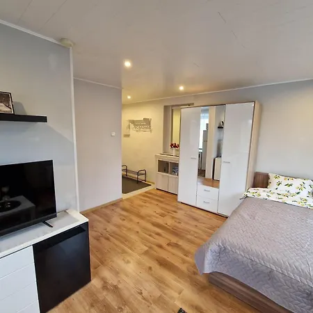 公寓 Central Haapsalu Apartment *